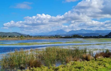 1. Slow Down – Swartvlei Lagoon view from The Island