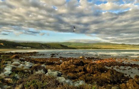 1. Slow Down – Visit to Buffalo Bay