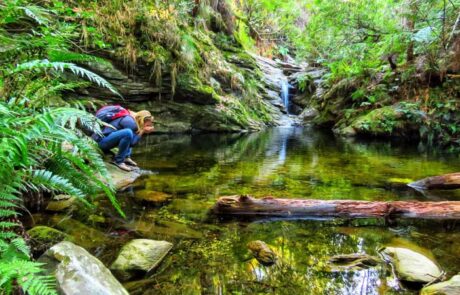 2. Enjoy Nature – Drinking from the Jubilee Creek