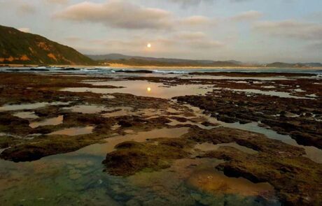 2. Enjoy Nature – Moonlight Meander, Gerricke_s Point