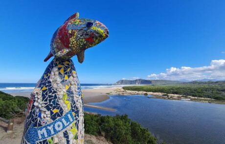 3. Meet Locals – Marinara, Swartvlei Estuary Mouth