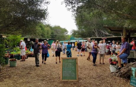 3. Meet Locals – Wild Oats Market Entrance