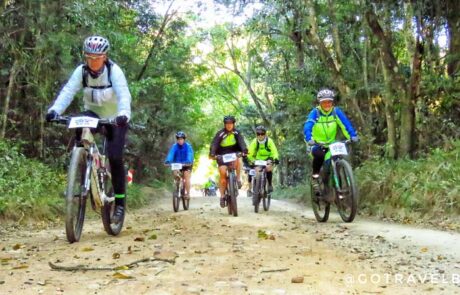 4. Get Active – 19 km MTB trail, Goudveld Forest